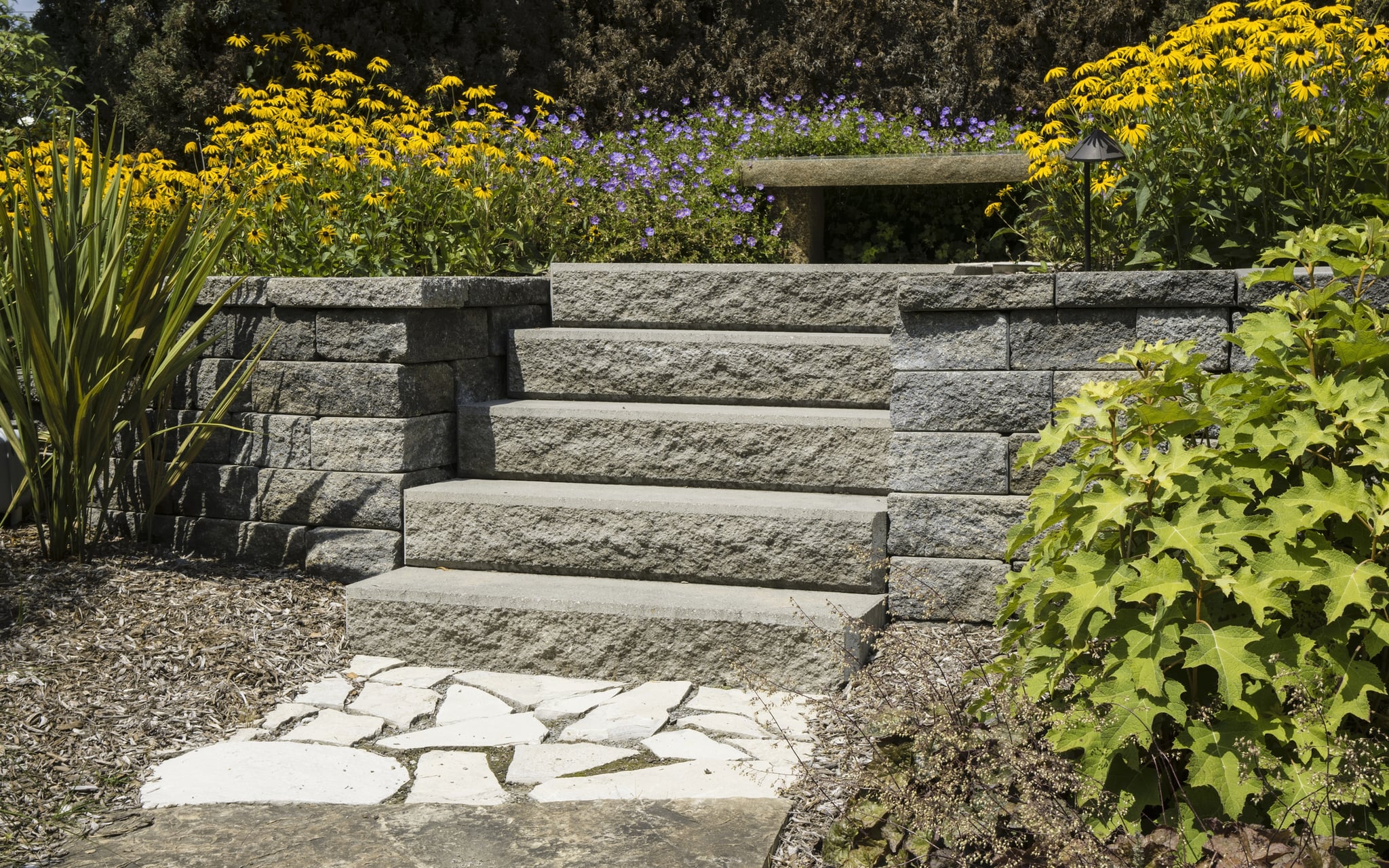 Stone garden steps framed by yellow and purple flowers