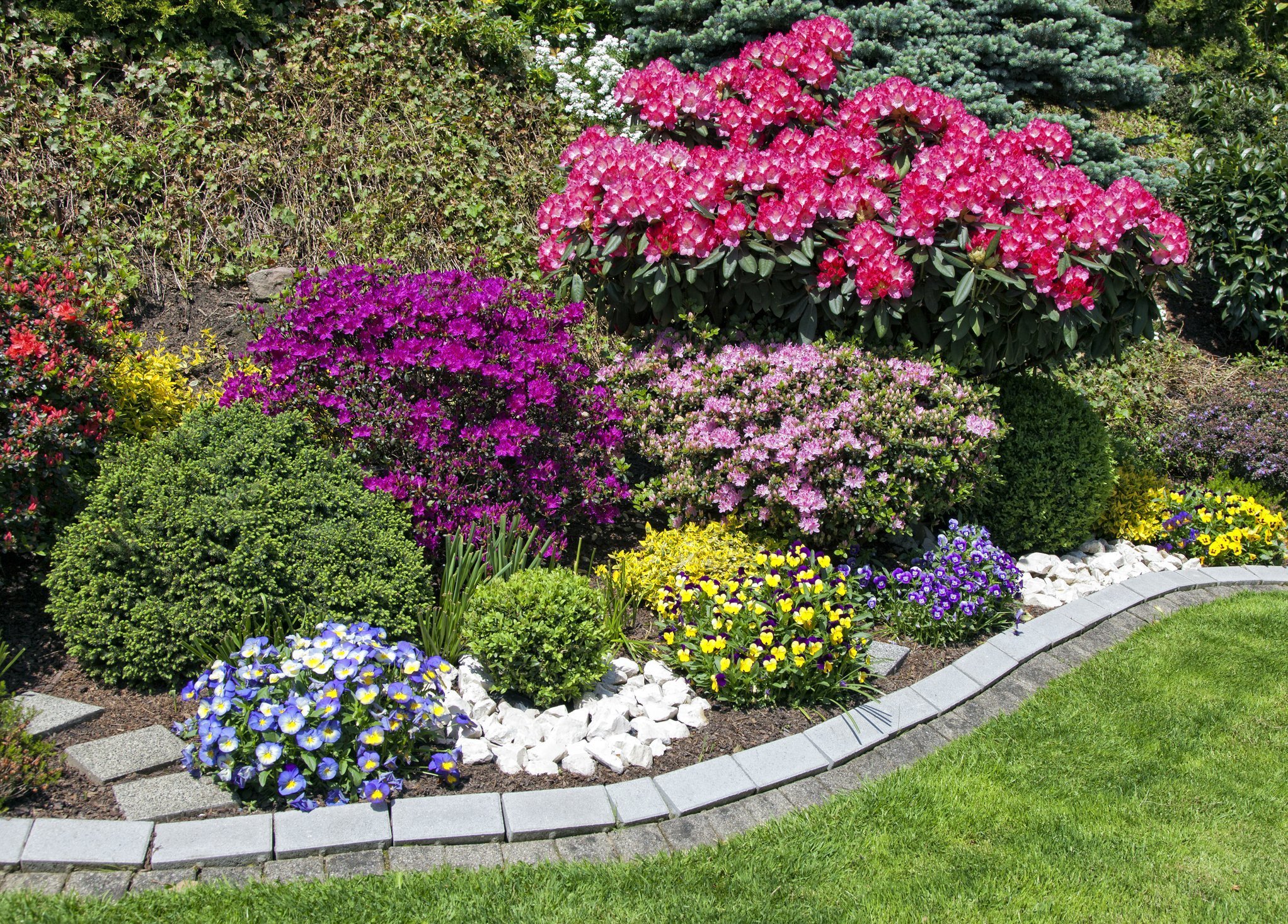 best shrubs for clay soil South Carolina