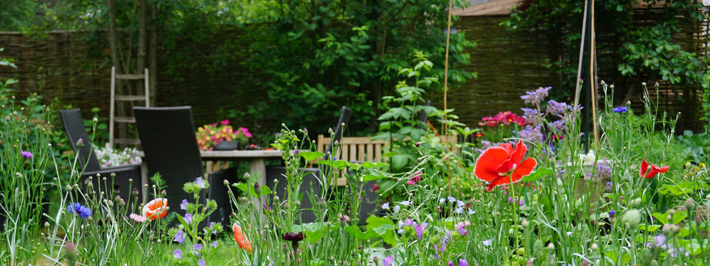 Wildflower garden surrounds an outdoor patio seating area