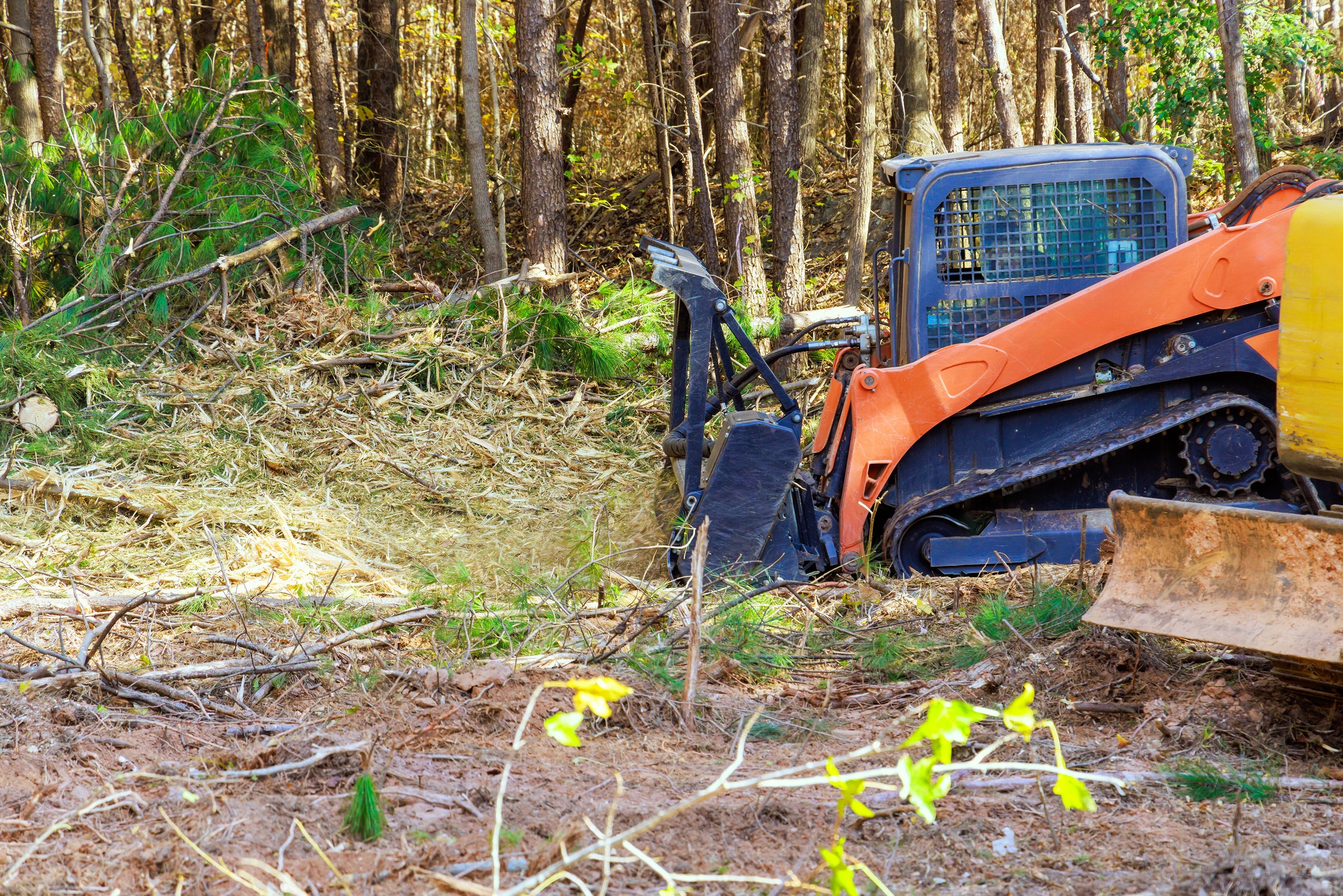 Skid-steer loader clearing fallen branches in a forest