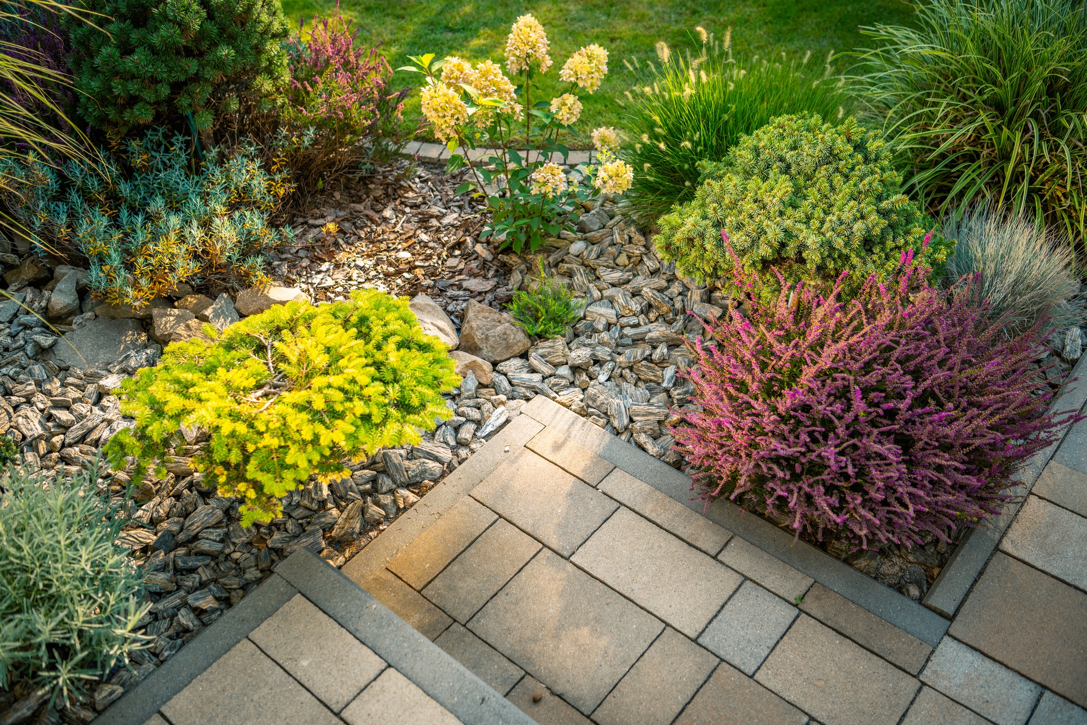 Colorful landscaped garden bed beside a paved patio