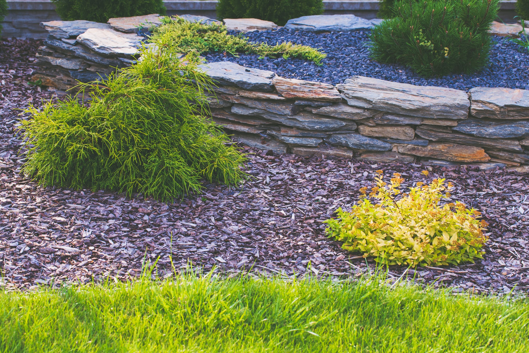Landscaped garden with stone wall, shrubs, gravel, and lawn