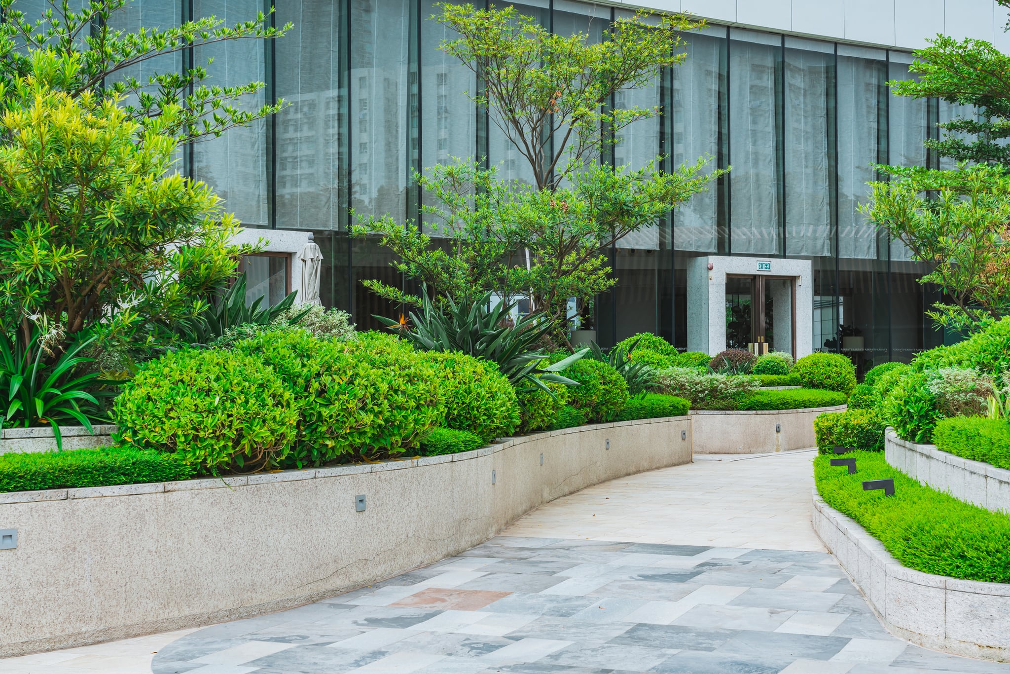 Landscaped garden walkway outside a modern glass building