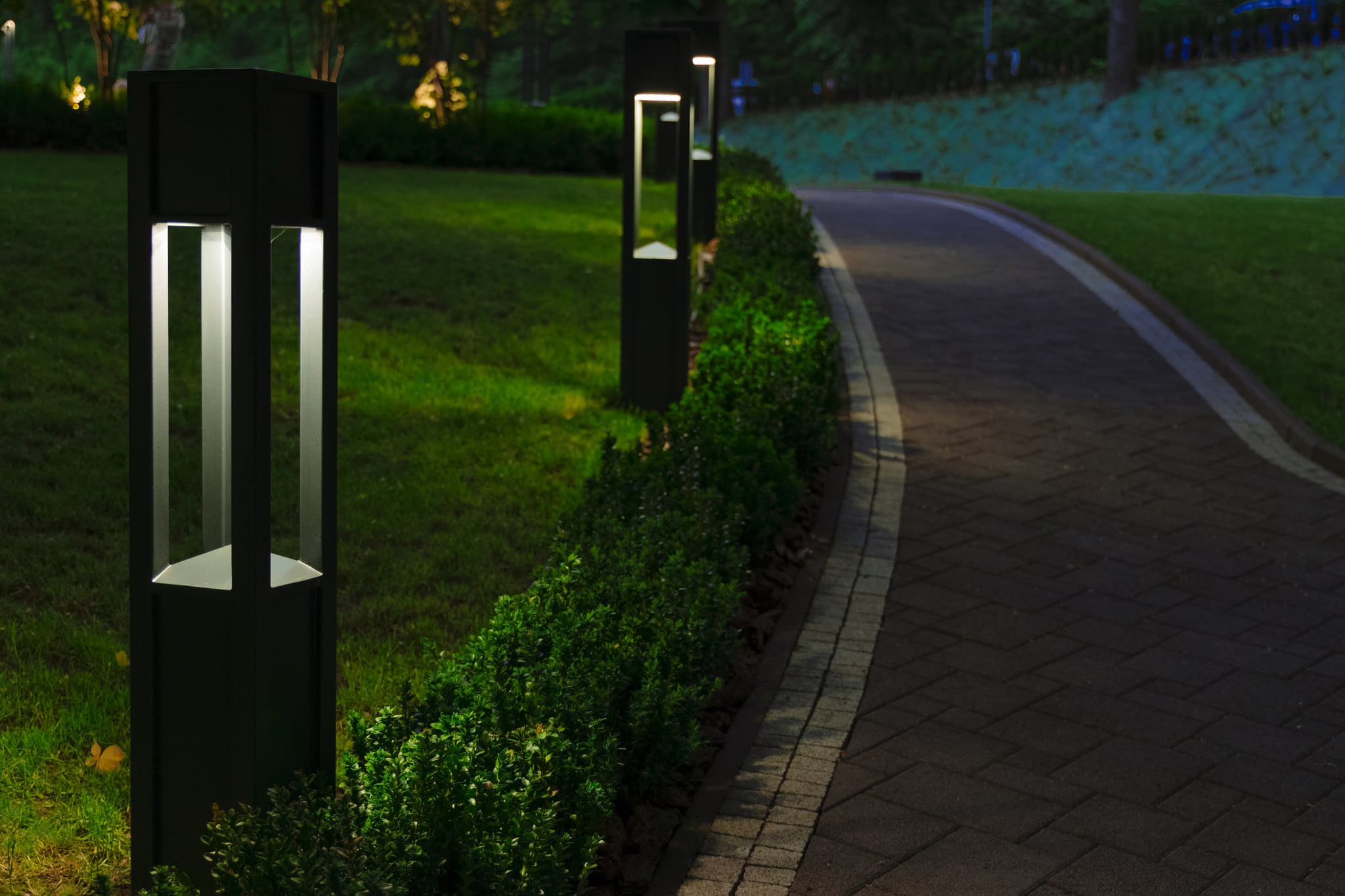 Modern bollard lights illuminate a curving garden path at night.
