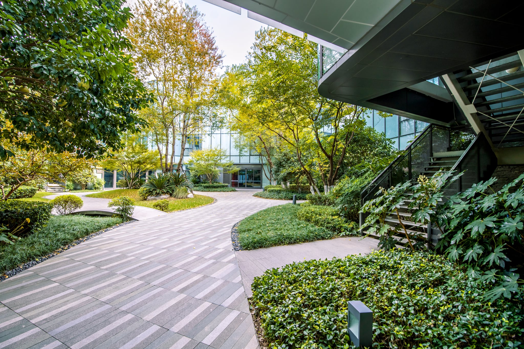 Lush courtyard garden beside modern glass office building