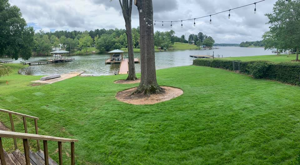 Sod installed