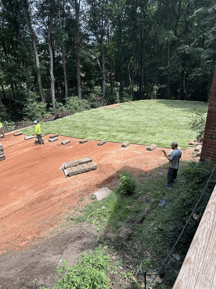 sod vs seed Upstate SC